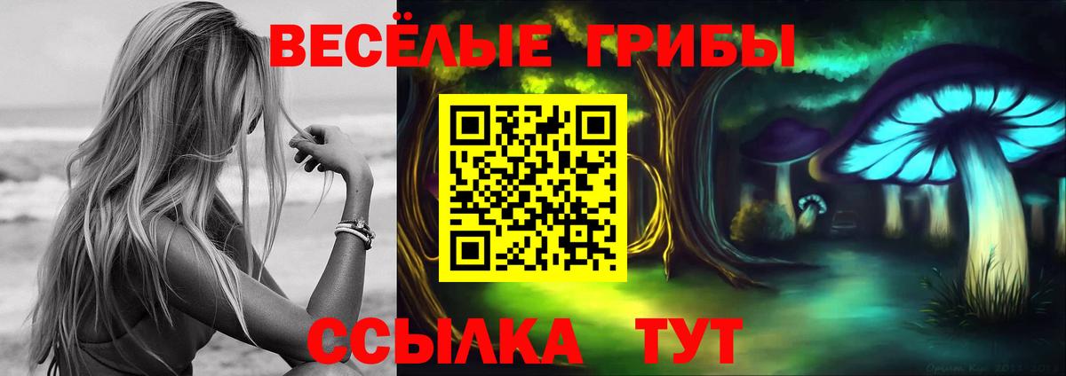 Псилоцибиновые грибы прущие грибы Шарыпово