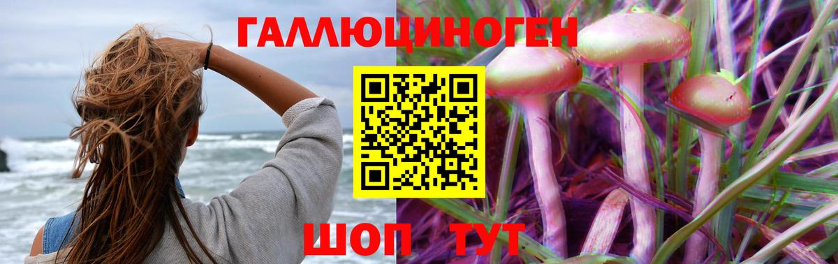 Псилоцибиновые грибы мицелий  Вход с VPN  Псилоцибиновые грибы Cubensis  Шарыпово 