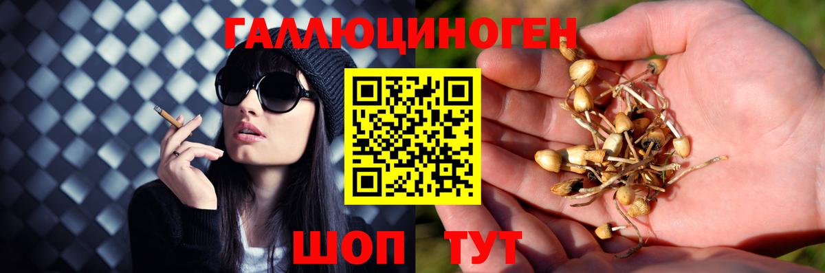 Канабис Шарыпово